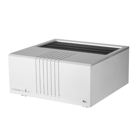Davecl Power Amplifier 7 channel 05.jpg